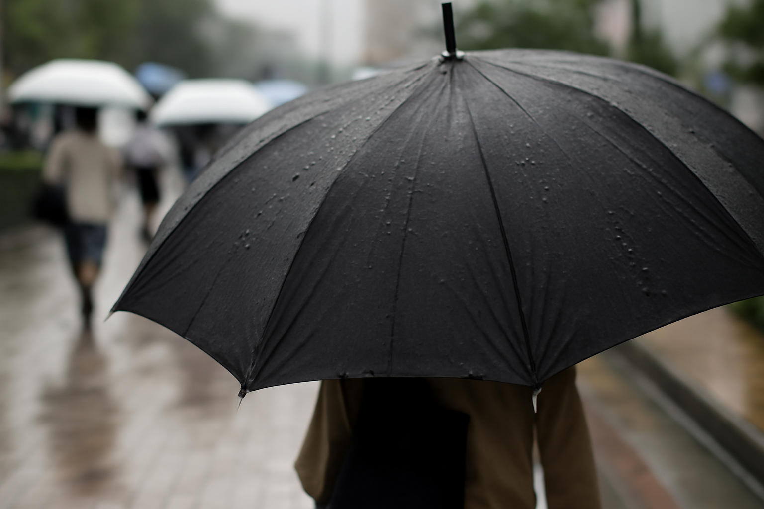 関東35日連続の雨、台風26号も控えて傘が手放せない季節に