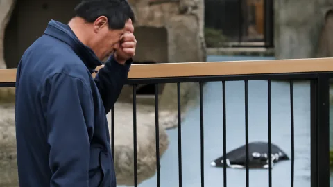 温度管理不要のペンギン舎、なぜ全滅？