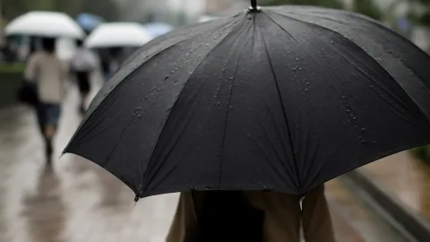 関東35日連続の雨、台風26号も控えて傘が手放せない季節に